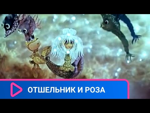 СКАЗКА О МАЛЕНЬКОМ РАКЕ - ОТШЕЛЬНИКЕ! Отшельник и роза. ЛУЧШИЕ ФИЛЬМЫ