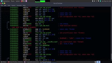 Hack The Box - Impossible Password challenge (Reversing) - Parrot OS