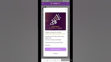 Pi influencer program