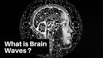 What IS Brain Waves ?  ❤  👍