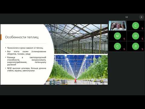 Микроклимат и растение часть 1