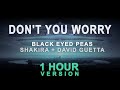 Black Eyed Peas Shakira David Guetta - DON T YOU WORRY Hour Black Eyed Peas Shakira David Guetta - DON T YOU WORRY Hour