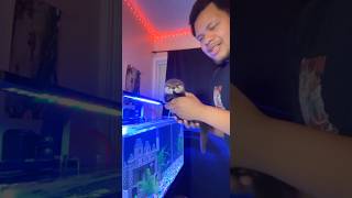 I put a baby sea otter in my fish tank…big mistake 😭🦦 #seaotter #fishtank #viralshorts #cute I put a baby sea otter in my fish tank…big mistake 😭🦦 #seaotter #fishtank #viralshorts #cute