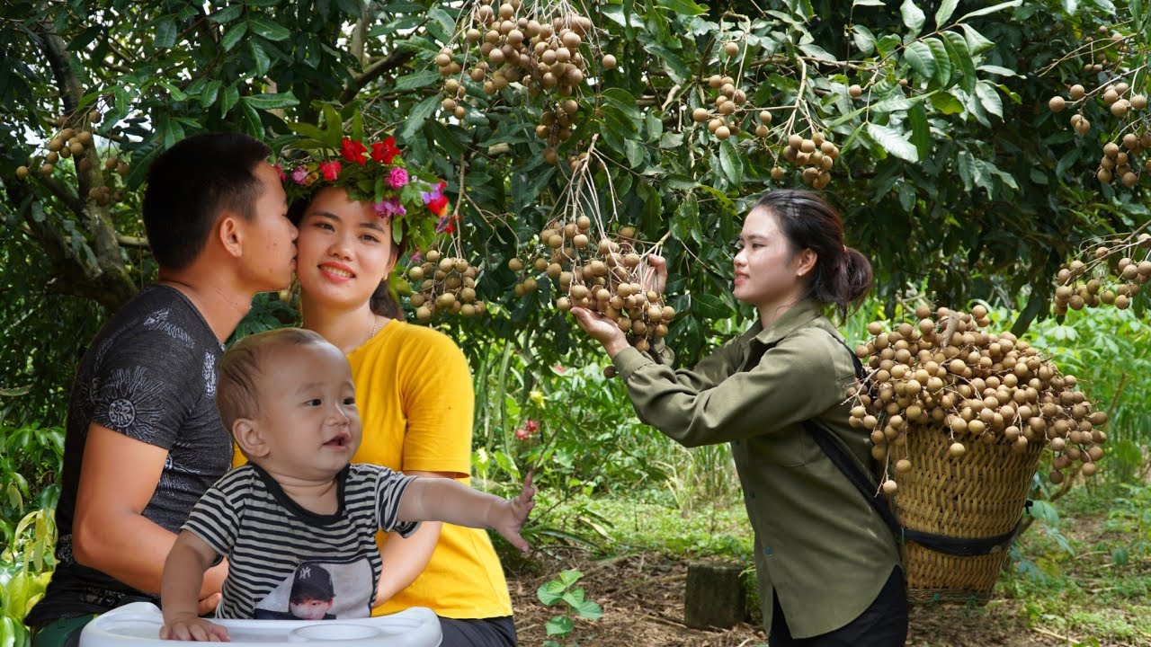 I was surprised and Happy when Mr. Hung made me a wreath - Harvesting Longan to sell at the market.
