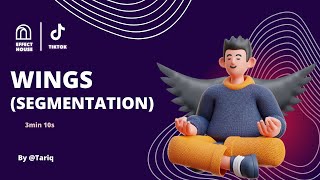Apply wings 👼 for all Effect House new versions screenshot 2