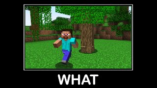 WAIT WHAT (Minecraft) #39