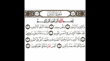 سورة التين تكرار كيفي من .. والتين والزيتون .. إلى .. أليس الله بأحكم الحاكمين