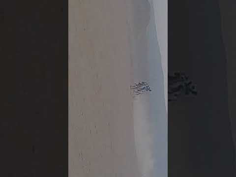 فوز الاميرة حسناء علي المهضومة النواصر اسنا