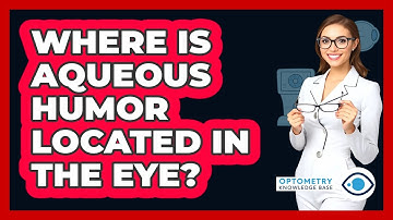 Where Is Aqueous Humor Located In The Eye?
