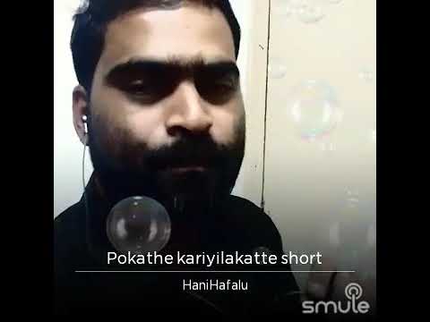 pokathe kariyilakkatte song pokathe kariyilakkatte song