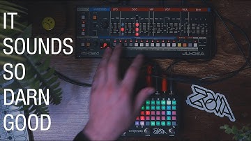 Empress Zoia and Roland JU-06A: A True Romance