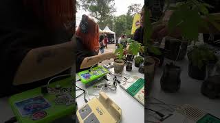 Listening to Plants: A Live Music Experience in Medellín, Colombia