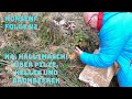 Nonsenf Folge 42/24A: Pilze, Pilse, Helles und ganz Dunkles...