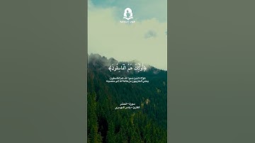 سورة الحشر الأيات 19 - 20 | ياسر الدوسري