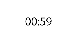 Professional 59 second timer