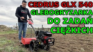 Glebogryzarka CEDRUS GLX 540 - Test Pracy, wady i zalety