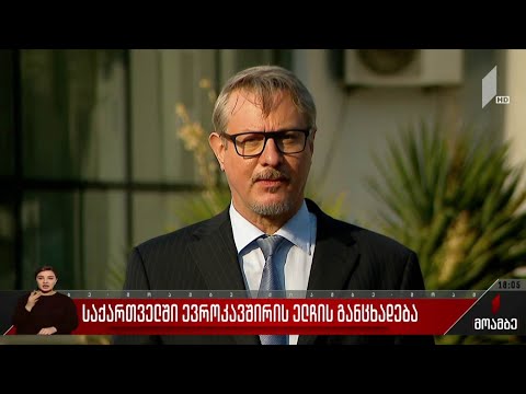 საქართველში ევროკავშირის ელჩის განცხადება