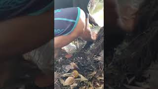 War Tha Nar Owe How To Fishing Myanmar