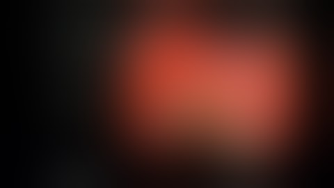 Liga Endoloop Defect Wall Closure