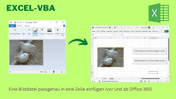 Video 392: Bilder exakt in Zellen einfügen – zwei VBA-Varianten im Vergleich! 🖼️
