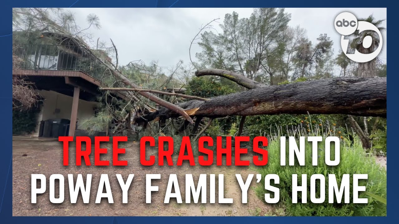 Poway family avoids injury after tree crashes into home - YouTube