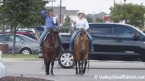 Shortys Pep Olena - Shorty   ***For info, price, etc., go to our website*** Valley View Ranch