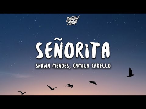 Shawn Mendes, Camila Cabello - Señorita (Lyrics) Besomorph Cover