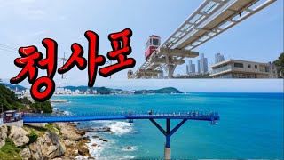 부산여행 꼭 가봐야 할 곳! 청사포 스카이워크 조개구이촌 !