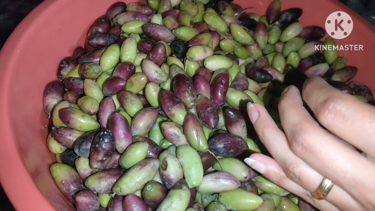 طريقة تخليل الزيتون الدولسي/الحقي هاتيه و خليليه لرمضان 2026