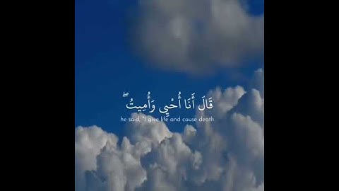 ماهر المعيقلي تلاوه بصوت جميل