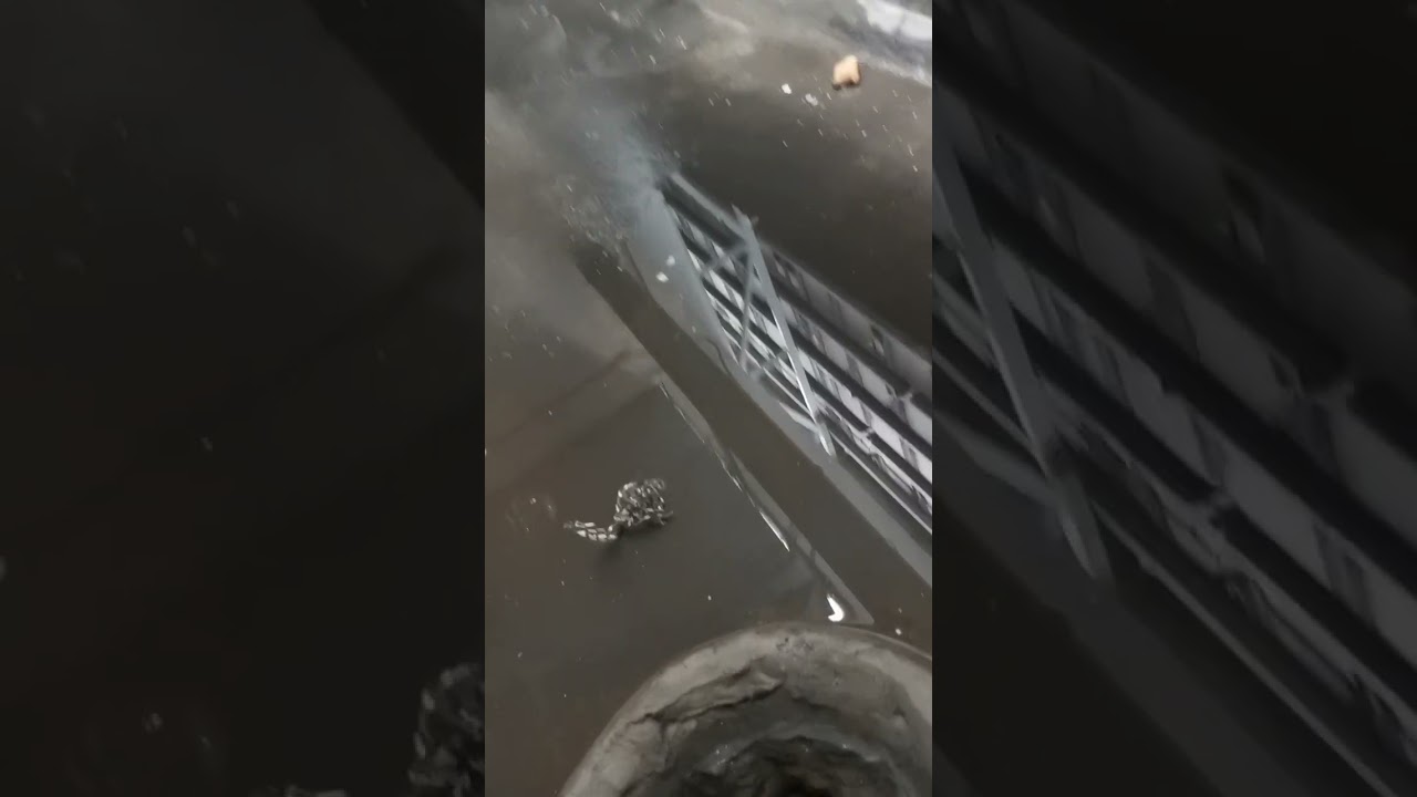 MGTC Roof leaks in AHU room and standing water in RC slab
