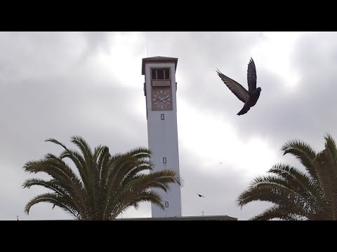 من تأنى نال ما تمنى