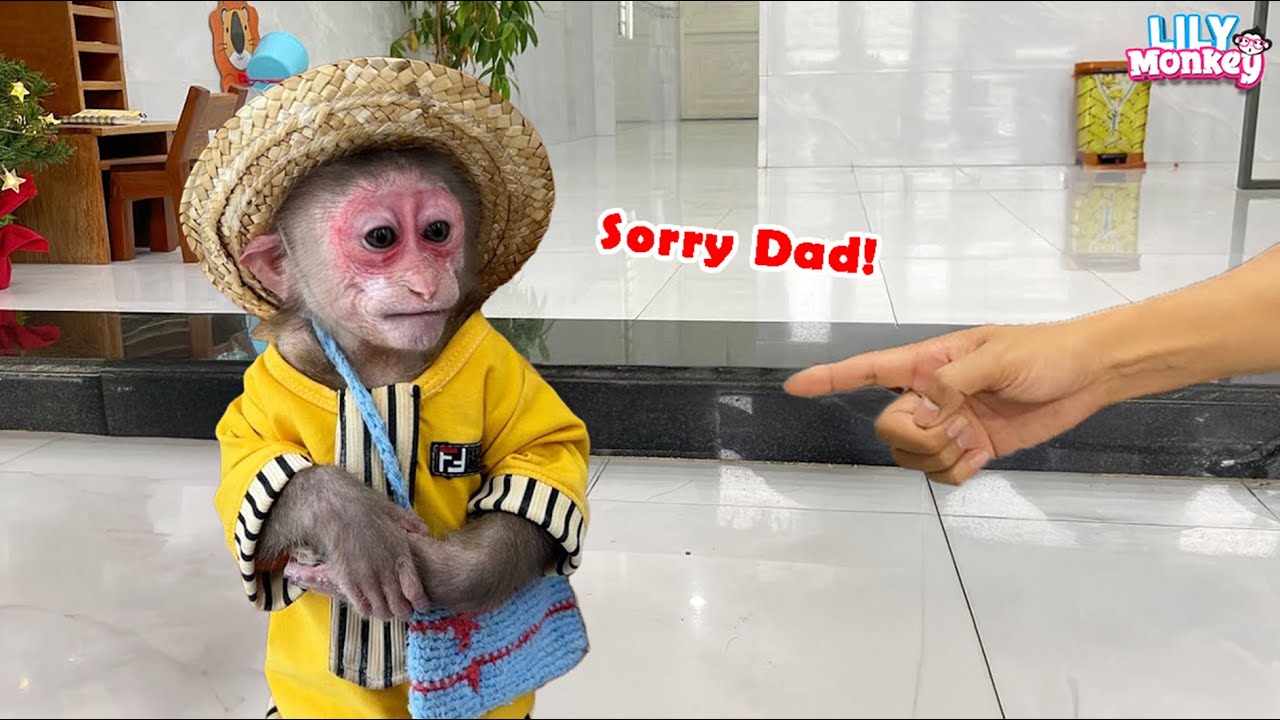 So funny! Lily plays with flour and gets caught by dad | Lily's story