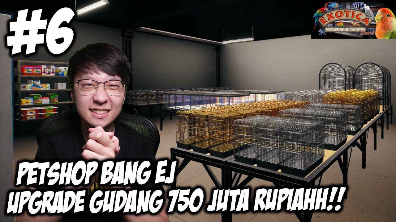 Kita Upgrade Gudang Ngabisin Rp 750 Juta & Belajar Breeding - Exotica ...