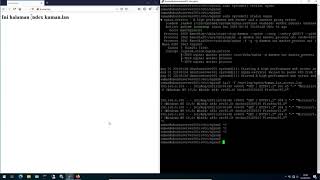 Cara Install dan Konfigurasi NGINX Server Blocks (domain dan subdomain)