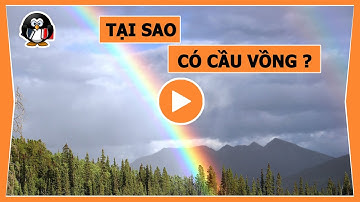 TẠI SAO CÓ CẦU VỒNG ?