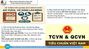 Tổng Quan Chính Sách Pháp Luật Về An Toàn Vệ Sinh Lao Động | SST Training
