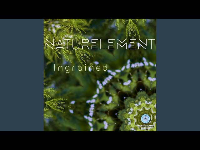 Naturelement - Feeling For Healing