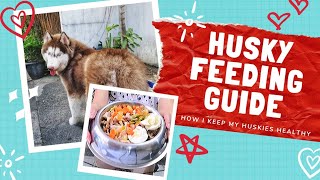 SIBERIAN HUSKY FEEDING GUIDE Profile