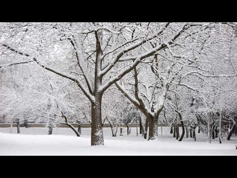Cold with snow showers into early morning - YouTube