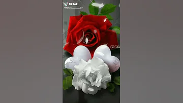 صباحيات جميله 