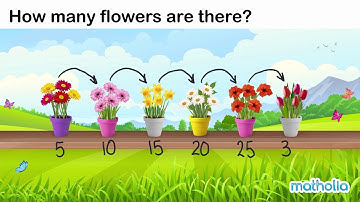 Skip Counting by Fives