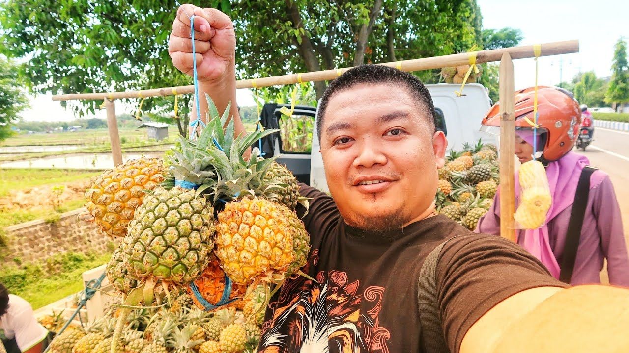Nanas Madu Kediri Manis Murah di Ponorogo 