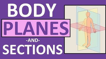 Body Planes and Sections: Frontal, Sagittal, Oblique, Transverse | Anatomy and Physiology