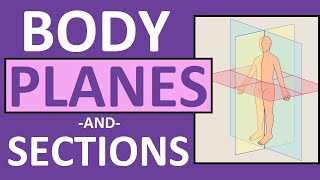 Body Planes and Sections: Frontal, Sagittal, Oblique, Transverse | Anatomy and Physiology screenshot 1