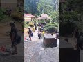 Templer Park Waterfall , Rawang Selangor ,Malaysia #templerparkrawang #rawang #malaysiagems #park