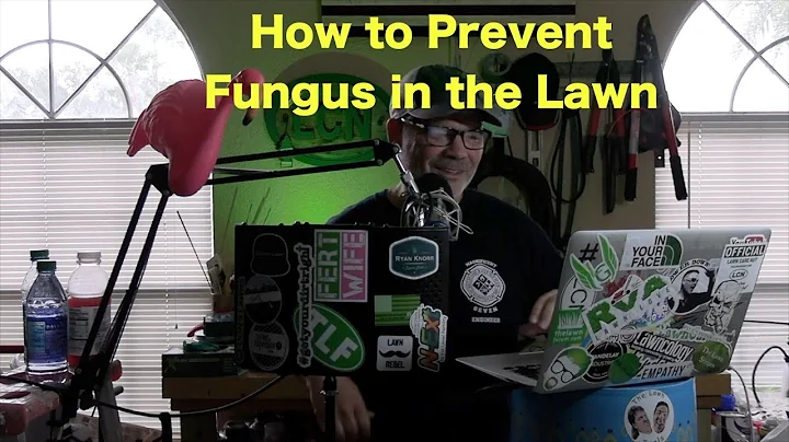How to Prevent Fungus in the Lawn | Brown Patch | Rust | Dollar Spot