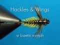 Fly Tying Baetis Nymph (SR) | Hackles & Wings
