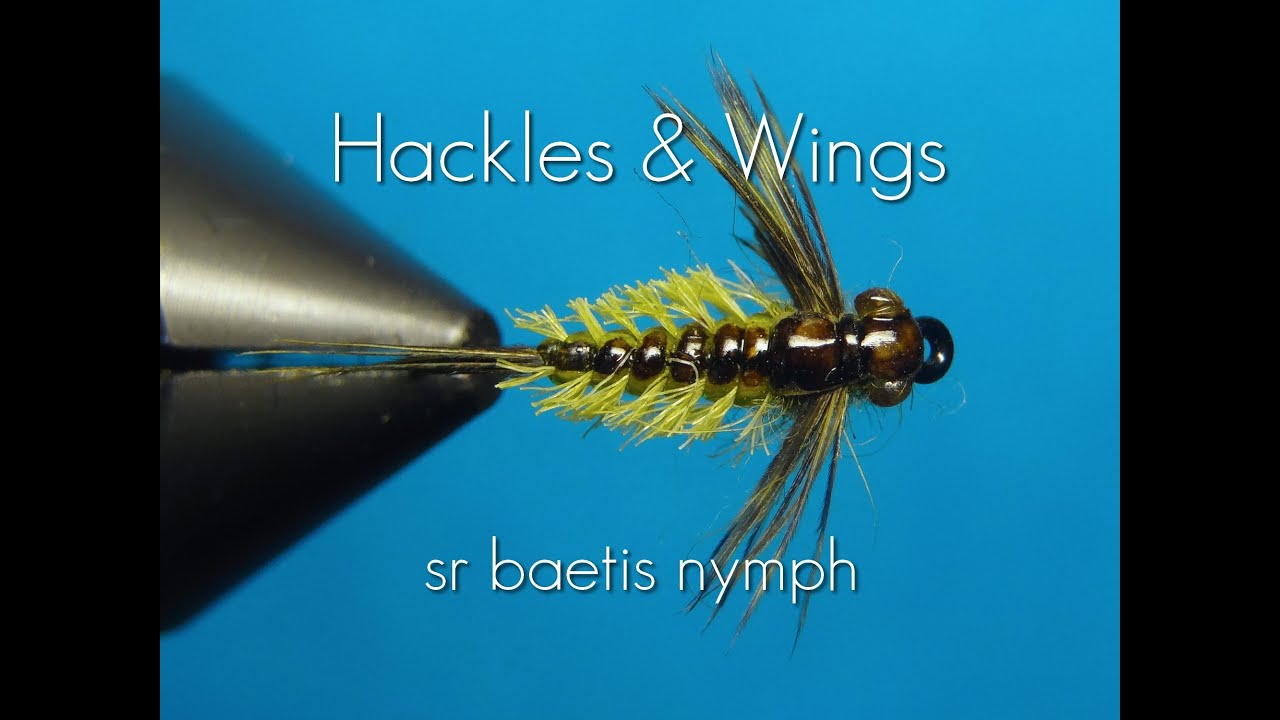 Baetis Nymph  Global FlyFisher