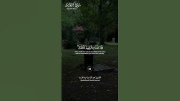 #سورة_الرعد ||حالات واتس قرآن ||القارئ#عبدالباسط_عبدالصمد #المصحف #تلاوة_هادئة #لايك #راحة_نفسية